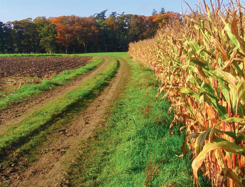 «Άνιση η φορολογία των αγροτεμαχίων» λένε 17 βουλευτές της ΝΔ - Media
