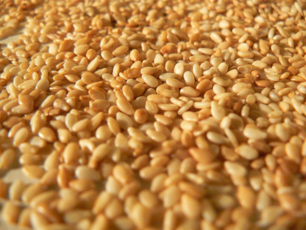 Βρήκαν σαλμονέλα σε 18 τόνους σουσάμι - Media