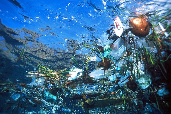 Οι θάλασσες πνίγονται στα σκουπίδια - Media