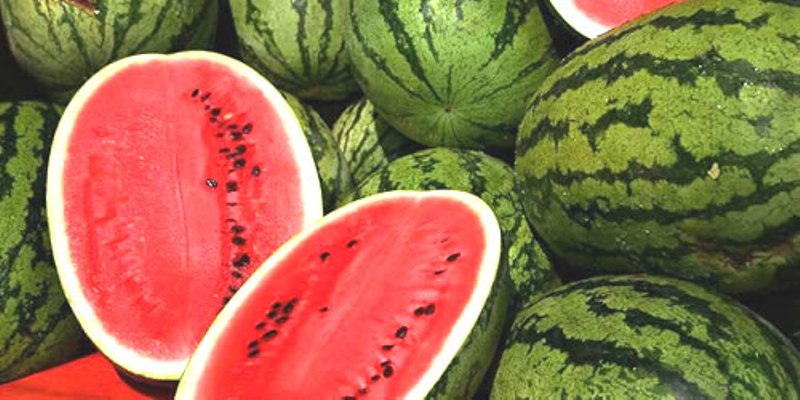 Το «μαγικό» για να διαλέγετε το καλύτερο καρπούζι - Media