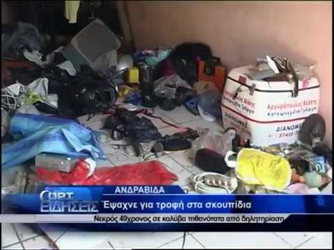 Έτρωγε από τα σκουπίδια και πέθανε (Video) - Media