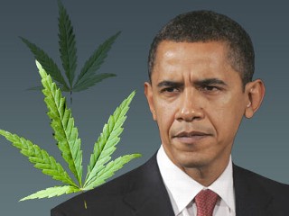Ομπάμα: «Η μαριχουάνα δεν είναι πιο επικίνδυνη από το αλκοόλ» - Media
