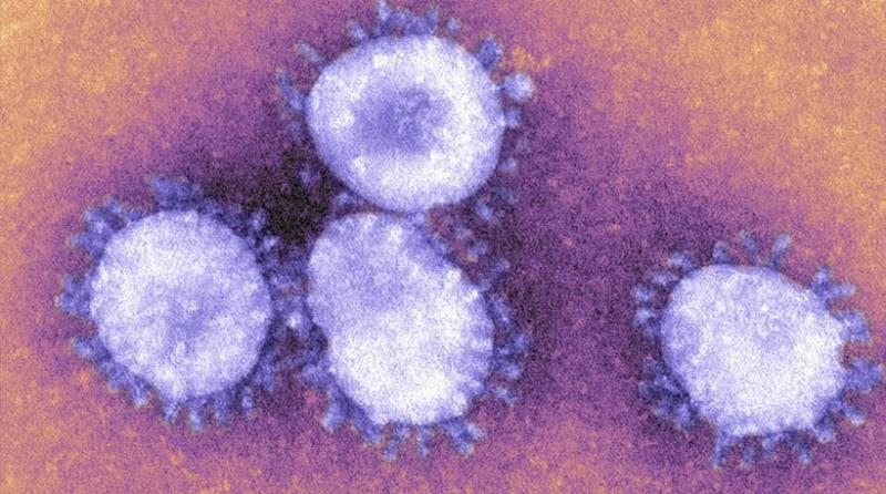 Πρώτο κρούσμα του MERS στις ΗΠΑ - Media