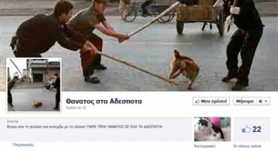 Συνελήφθη ο διαχειριστής της σελίδας «Θάνατος στα Αδέσποτα» - Media