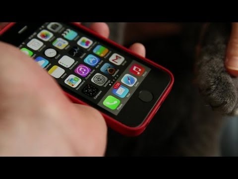 Μια γάτα ξεκλειδώνει το iPhone 5S (Video) - Media