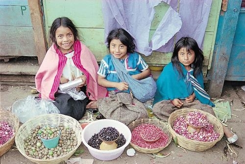 Φονικό DDT στο αίμα παιδιών - Media