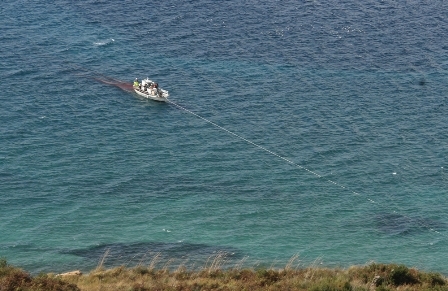 Στον ντόκο οι τράτες - Media