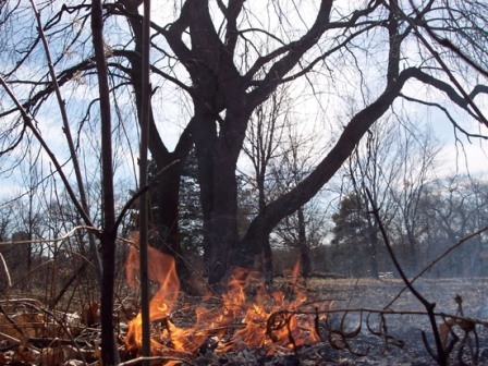 Ο «νόμος» των παρανόμων - Media