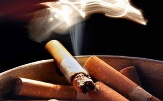Μετράμε γόπες... - Media