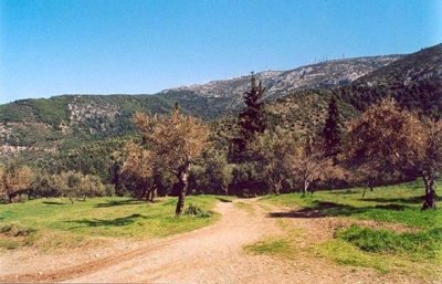 Ασπίδα προστασίας για τον Υμηττό - Media