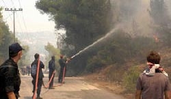 Πυρκαγιά στην Κορινθία - Media