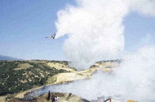 Το μεγάλο κόλπο με τα σκουπίδια - Media
