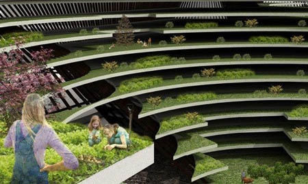 Γεωργική... πολεοδομία - Media