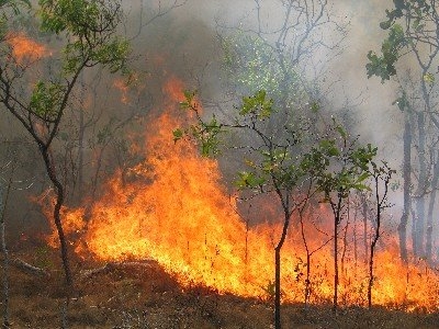 Πυρκαγιά στην Κερατέα και στο Βελό Κορινθίας - Media