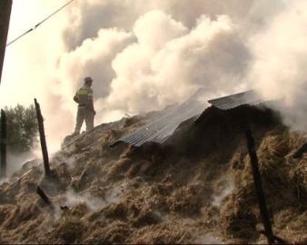 Ιδιαίτερα επικίνδυνη η τοξική τέφρα στη Δράμα - Media