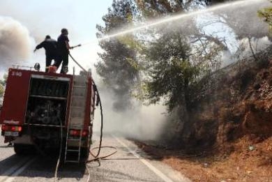 Αναδασωτέες ανακηρύσσονται οι περιοχές που επλήγησαν από την πυρκαγιά - Media