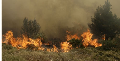 Φωτιά σε Σητεία Κρήτης και Θεσπρωτία - Media