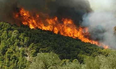 Σε εξέλιξη η πυρκαγιά στη Σάμο - Media