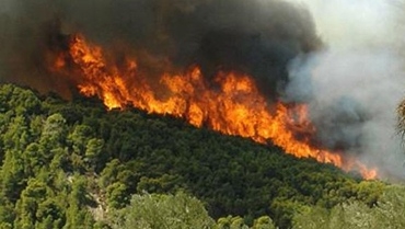 Πύρινα μέτωπα σε Πρέβελη και Κάρυστο - Media