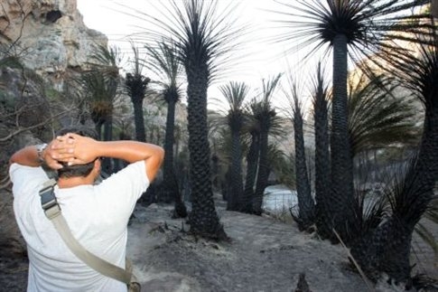 Άριστα 10 με τόνο! - Media