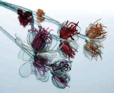 Τέχνη από πλαστικό  - Media