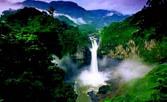 Το «θησαυροφυλάκιο» της φύσης - Media