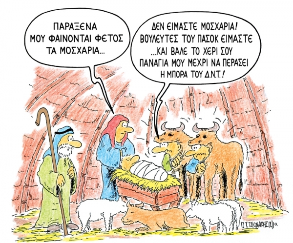 zoa - Media