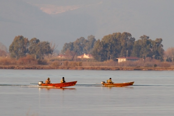 Επιδρομή οπλοφόρων κουκουλοφόρων στον Αμβρακικό  - Media