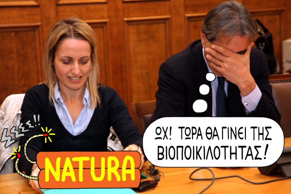 natura - Media