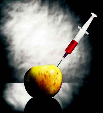 Η «μαφία» των τροφίμων και τα μεταλλαγμένα - Media