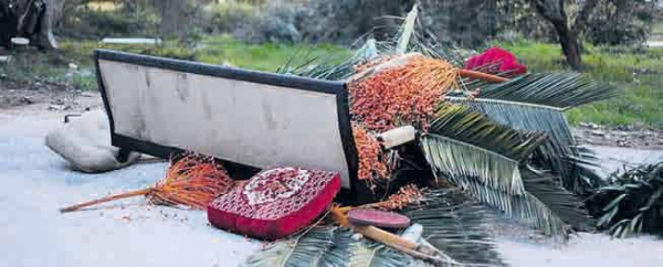 Αθήνα, μια πόλη για υιοθεσία - Media