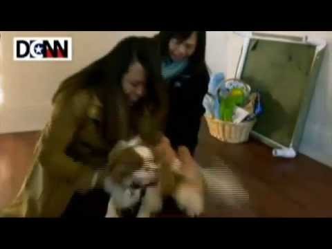Ξανά μαζί η νοσοκόμα και το σκυλάκι, που «χώρισαν» λόγω Έμπολα (Video)
 - Media