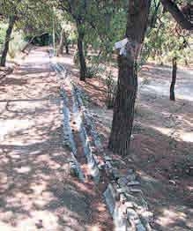 Άλσος Ευελπίδων: Στο έλεος της κρατικής αδιαφορίας - Media