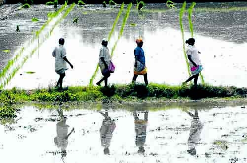 Ένας αγρότης αυτοκτονεί κάθε 30 λεπτά - Media