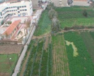 Επανέρχονται τα σχέδια για την τσιμεντοποίηση των Λαχανόκηπων - Media