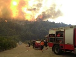 Φωτιές σε Ζάκυνθο, Κρήτη, Φωκίδα και Αρεόπολη - Media
