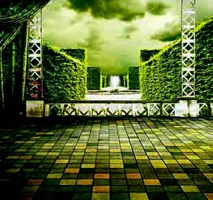 Μια «ζούγκλα» στην ταράτσα μας - Media