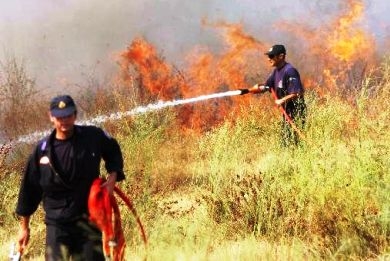 Νέα πυρκαγιά στις Λούτσες της Κέρκυρας - Media