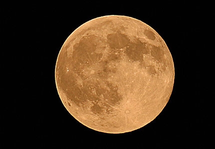 Οι εκδηλώσεις του Αυγούστου - Media