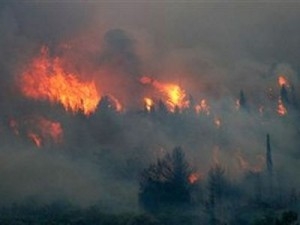 Πύρινα μέτωπα πλήττουν Κέρκυρα, Μυτιλήνη, Βοιωτία και Μέτσοβο  - Media