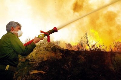 Πυρκαγιά σε Χαλκιδική, Σκόπελο και Κέρκυρα - Media