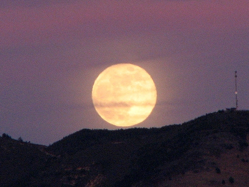 Αυγουστιάτικο φεγγάρι  - Media