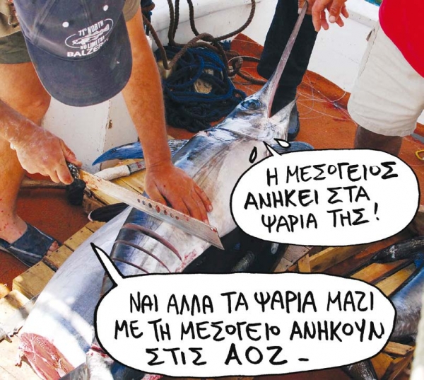 Πλήρες μπάχαλο στη Μεσόγειο - Media