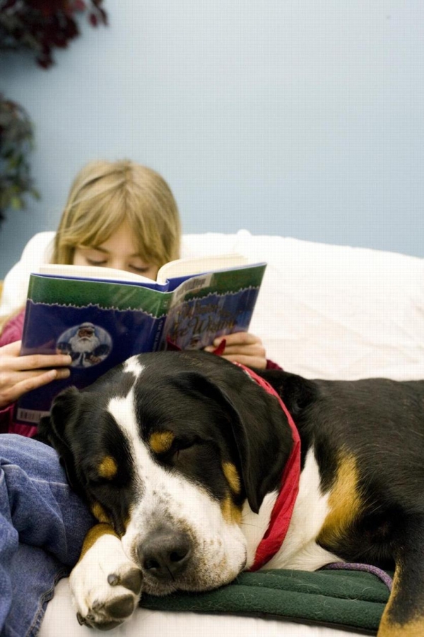 Ο χνουδωτός «δάσκαλος» - Media