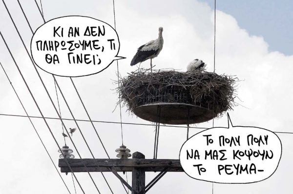 Κομματιασμένη στον πάγκο  - Media