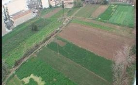 Ο Καμίνης, ο Κακλαμάνης και ο «Βασιλάκης Καΐλας» - Media