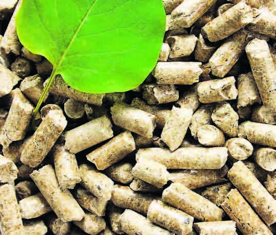 Πράσινη και οικονομική θέρμανση - Media