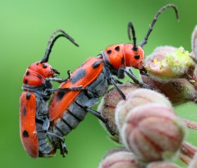 Αν το περιβάλλον ήταν ταξί… - Media