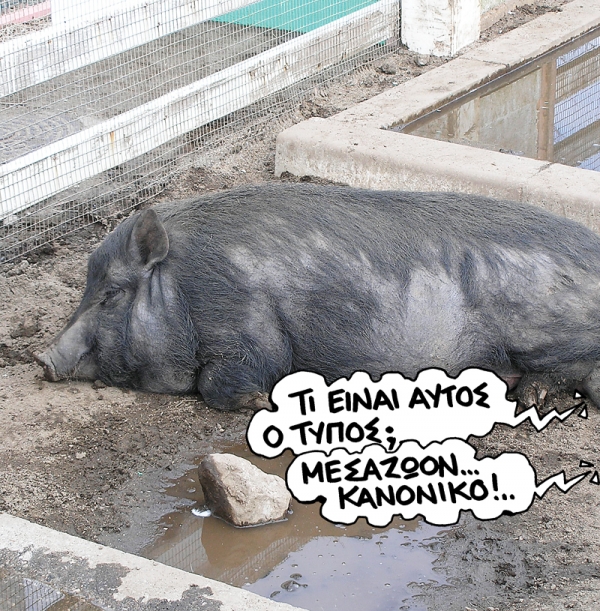 Κόλπο γκρόσο με... ζαρζαβατικά - Media