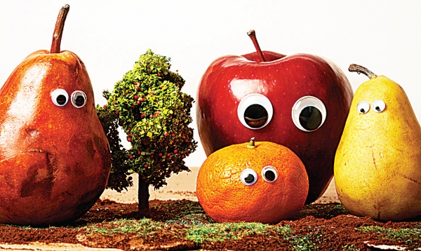 Παγκόσμια εκστρατεία κατά των μεταλλαγμένων - Media